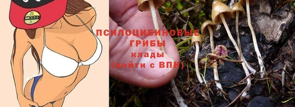 эйфоретик Алексеевка
