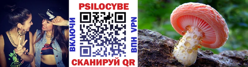 Псилоцибиновые грибы GOLDEN TEACHER  блэк спрут tor  Хотьково 